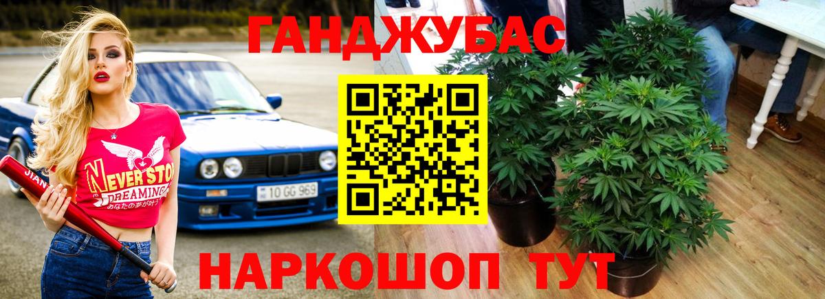МАРИХУАНА план Павлово